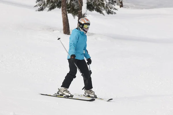 Σκι Ένα Όμορφο Χιόνι Δασικό Τοπίο Χειμερινό Άθλημα Οριζόντια — Φωτογραφία Αρχείου