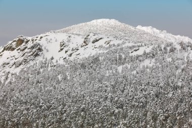 Kış dağ orman karlı manzarası. Navacerrada, İspanya. Yatay