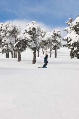 Bir orman yamaçta Kayak insanlar. Beyaz dağ manzarası. Kış spor