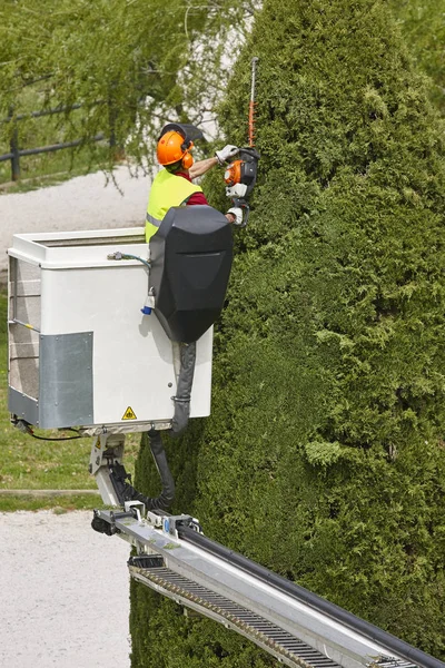 Trabajador Equipado Poda Árbol Una Grúa Trabajos Jardinería — Foto de Stock