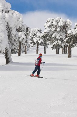 Kayakçı karlı orman yamacında. Beyaz dağ manzarası. Kış spor