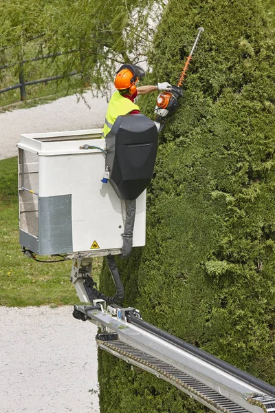 Trabajador Equipado Poda Árbol Una Grúa Trabajos Jardinería — Foto de Stock