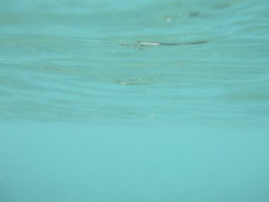 Sualtı dalgalar canlı turkuaz rengi yansımaları ile. Uzay kopyalayın. Yatay       