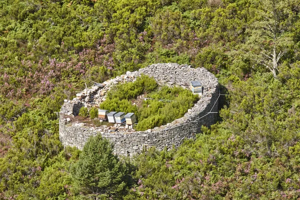 Colmenas Estructura Pared Piedra Tradicional Contra Osos Muniellos Asturias España — Foto de Stock