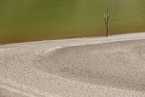 Drought. Lake and desert island with dry tree landscape. Spain