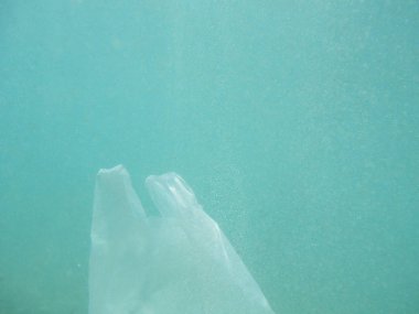 Denize kayan plastik torba. Kirli çevre. Çöp geri dönüşüm              