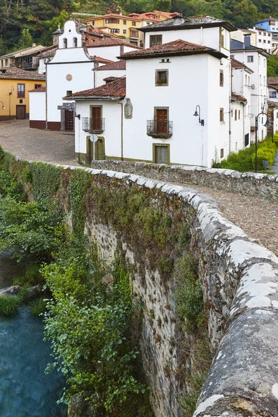 Traditional Village Asturias Stone Bridge Cangas Narcea Spain — Stock Photo, Image