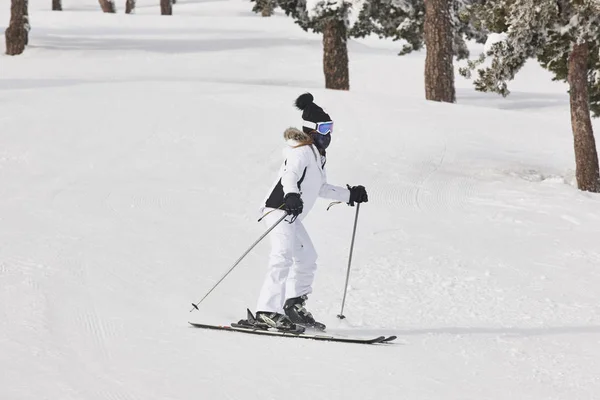 Катание Лыжах Красивому Ландшафту Снежного Леса Зимний Спорт Горизонталь — стоковое фото