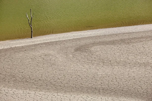 Siccità Lago Isola Deserta Con Paesaggio Albero Secco Spagna — Foto Stock