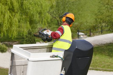 Donanımlı işçisi budama ağaca bir vinç. Bahçe işleri