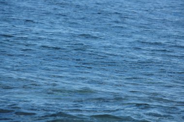 Deniz su yüzey arka plan. Uzay kopyalayın. Yatay