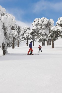 Bir orman yamaçta kayak öğrenme. Beyaz dağ manzarası