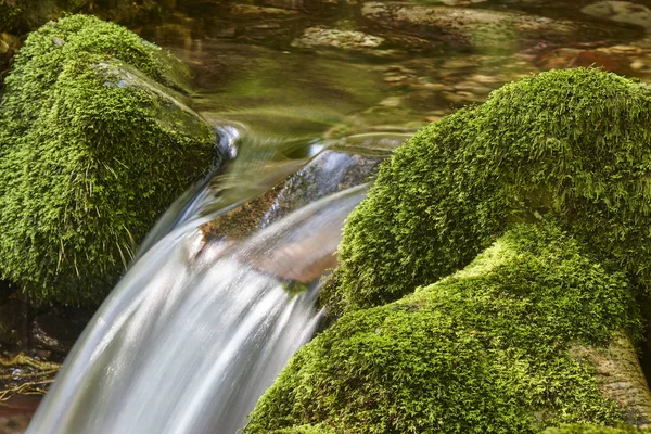 Wasserlauf Mit Bemoosten Felsen Biosphärenreservat Muniellos Astrologen — Stockfoto