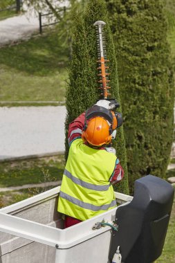 Donanımlı işçisi budama ağaca bir vinç. Bahçe işleri