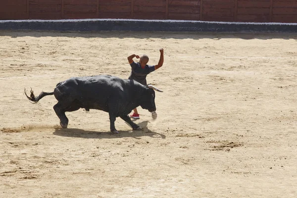 Fighting Bull Man Arena Bullring Spain Horizontal — Stock Photo, Image