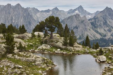 Aigues olmayan Milli Parkı dağ manzarası. Estany damitges. İspanya