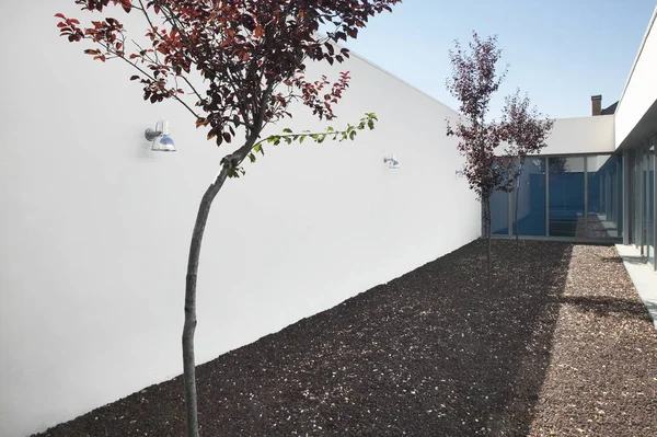 Arquitecture Moderna Giardino Interno Stile Minimalista Con Alberi Orizzonte — Foto Stock