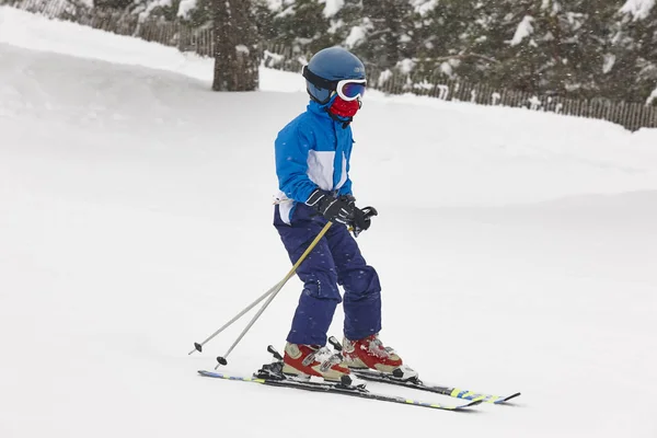 Bambini Che Sciano Sotto Neve Sport Invernali Pista Sci Orizzonte — Foto Stock