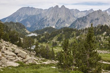 Aigues olmayan Milli Parkı. Orman ve tepeler manzara. İspanya