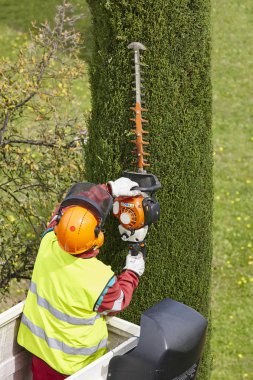 Donanımlı işçisi budama ağaca bir vinç. Bahçe işleri