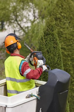 Donanımlı işçisi budama ağaca bir vinç. Bahçe işleri