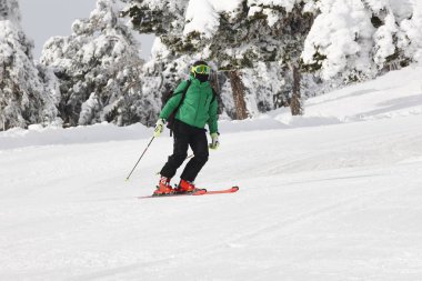 Bir güzel kar orman manzara üzerinde kayak. Kış spor. Yatay