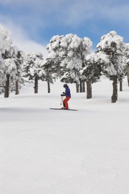 Bir orman yamaçta Kayak. Beyaz dağ manzarası. Kış spor