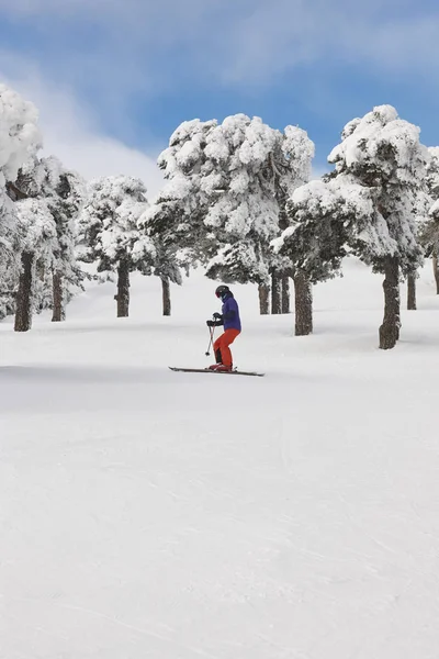Bir orman yamaçta Kayak. Beyaz dağ manzarası. Kış spor