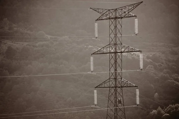 Lignes Électriques Avec Fond Forestier Aube Les Énergies Renouvelables Infrastructures — Photo