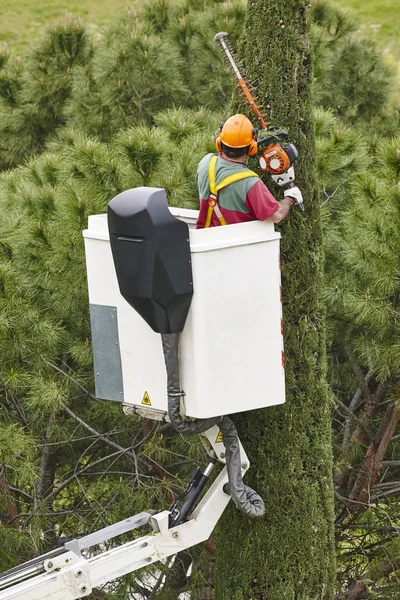 Operaio Attrezzato Che Potava Albero Una Gru Lavori Giardinaggio — Foto Stock