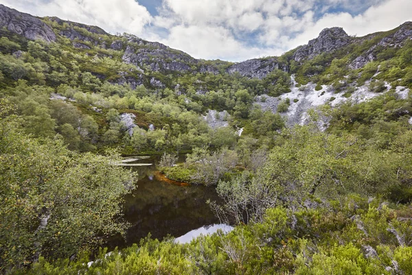 Landschap Met Bos Vijver Muniellos Natuurpark Asturias Spanje — Stockfoto