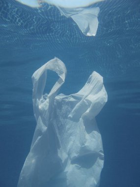 Suya kayan plastik torba. Kirli çevre. Çöp geri dönüşüm                                                 