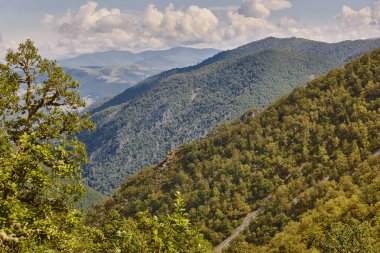 Meşe ağacı orman dağ manzarası İspanya. Muniellos doğal p