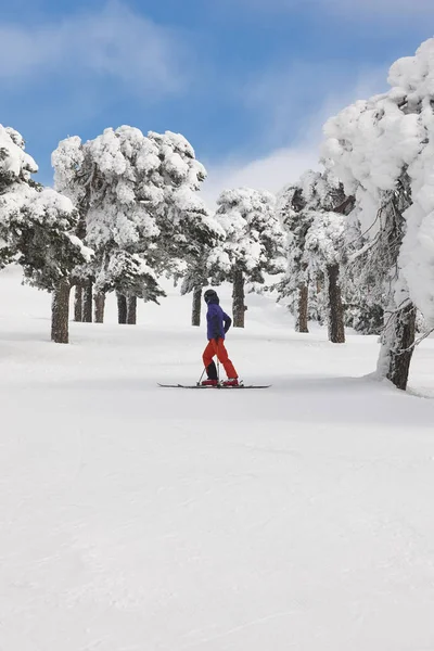 Orman yamaçta Kayak keyfi. Beyaz dağ manzarası. Kış