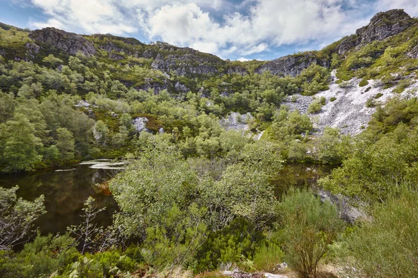 Orman ve su birikintisi ile manzara. Asturias gölde Muniellos. Spa — Stok fotoğraf