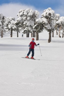 Kayakçı karlı orman yamacında. Beyaz dağ manzarası. Kış