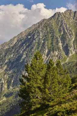 Aigues olmayan ulusal park orman manzara. Gerber yolu. Llei