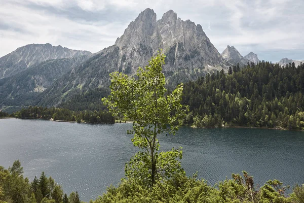 Aigues tortes paysage forestier du parc national. Lac Sant Maurici . — Photo