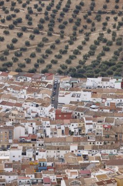 Geleneksel İspanyol Endülüs şehri ve zeytin ağacı alanları. Jaen