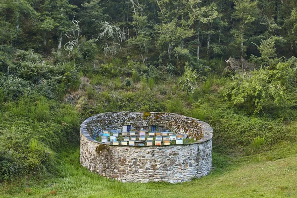 Bienenstöcke. traditionelle Steinmauer gegen Bären. muniel — Stockfoto