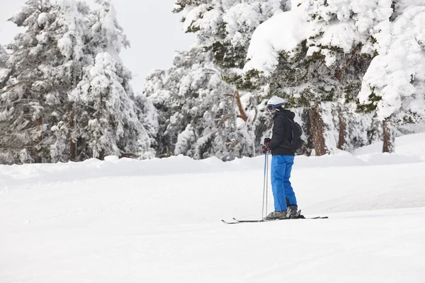 Skiing on a beautiful snow forest landscape. Winter sport — Stock Photo, Image