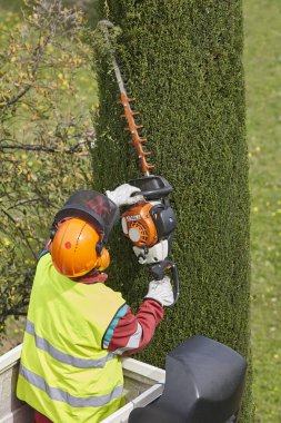 Donanımlı işçisi budama ağaca bir vinç. Bahçe