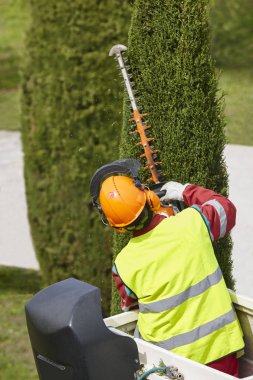 Donanımlı işçisi budama ağaca bir vinç. Bahçe
