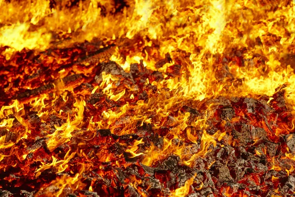 火。火山白炽灯材料。热木炭篝火。卡尔博 — 图库照片