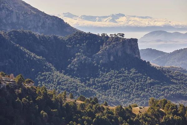 ジャーン、シエラ・デ・カソルラの山と森の風景。スペイン — ストック写真