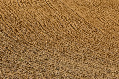 Rotation or ploughing of the field. Agriculture production backg