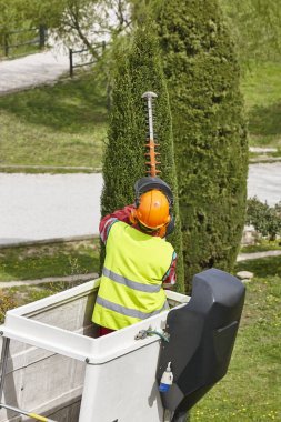 Donanımlı işçisi budama ağaca bir vinç. Bahçe