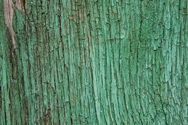 树皮树干在绿色色调。老年自然背景 — 图库照片