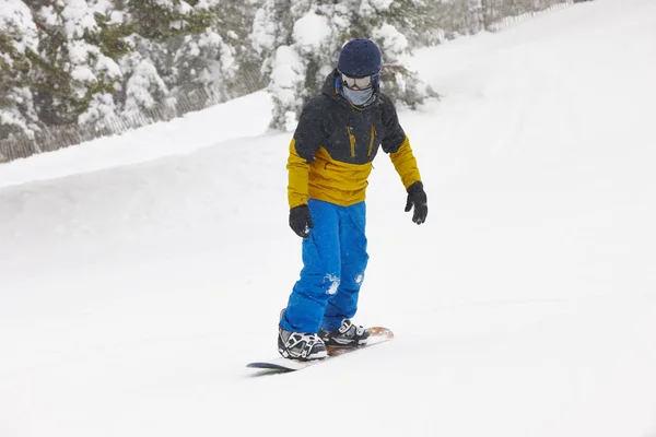 Snowboard sob a neve. Declive de esqui. Floresta nevada — Fotografia de Stock