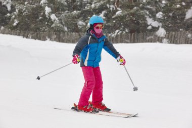 Bir kar orman manzara üzerinde kayak. Kış spor